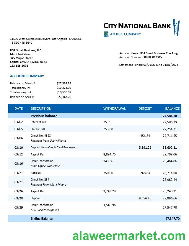 City National Bank organization statement Word and PDF template